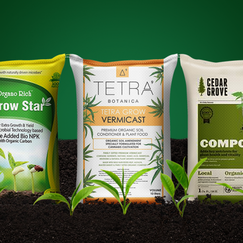 Bao Bì Đất Trồng