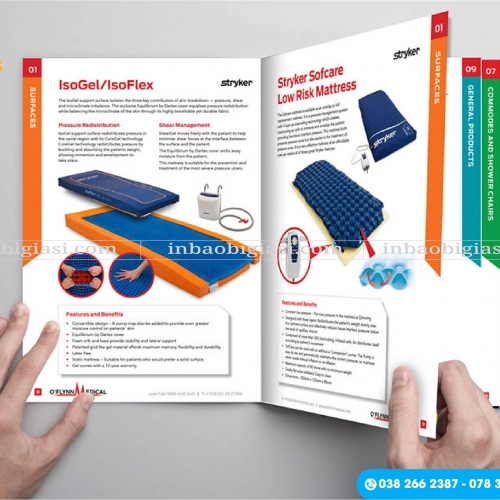 In Catalogue Giá Rẻ Chất Lượng Sắc Nét Lấy Ngay Hcm