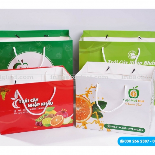 99+ Mẫu in túi giấy đựng hoa quả đẹp