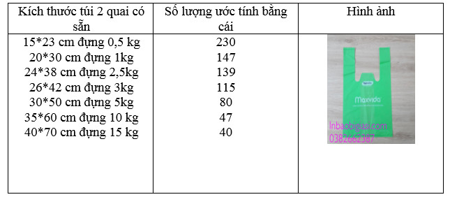 kích thước in túi 2 quai