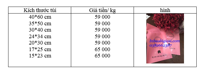 bảng giá in túi hột xoài