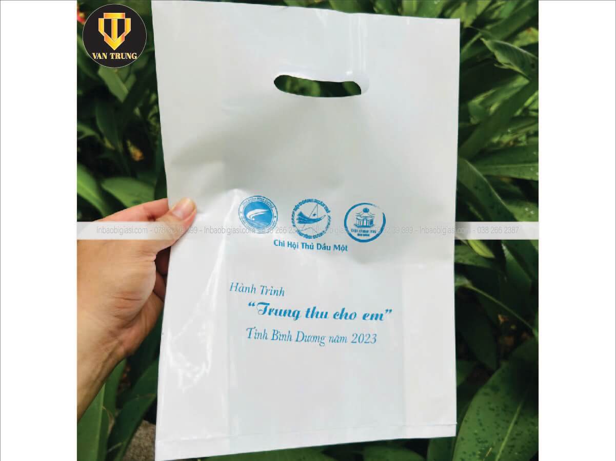In bao bì nhựa hột xoài