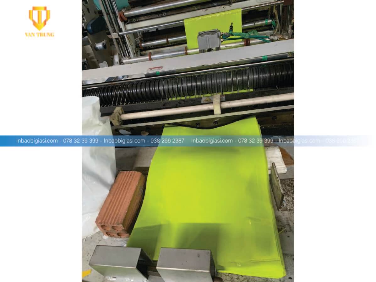 Túi nilon hột xoài tại TP HCM