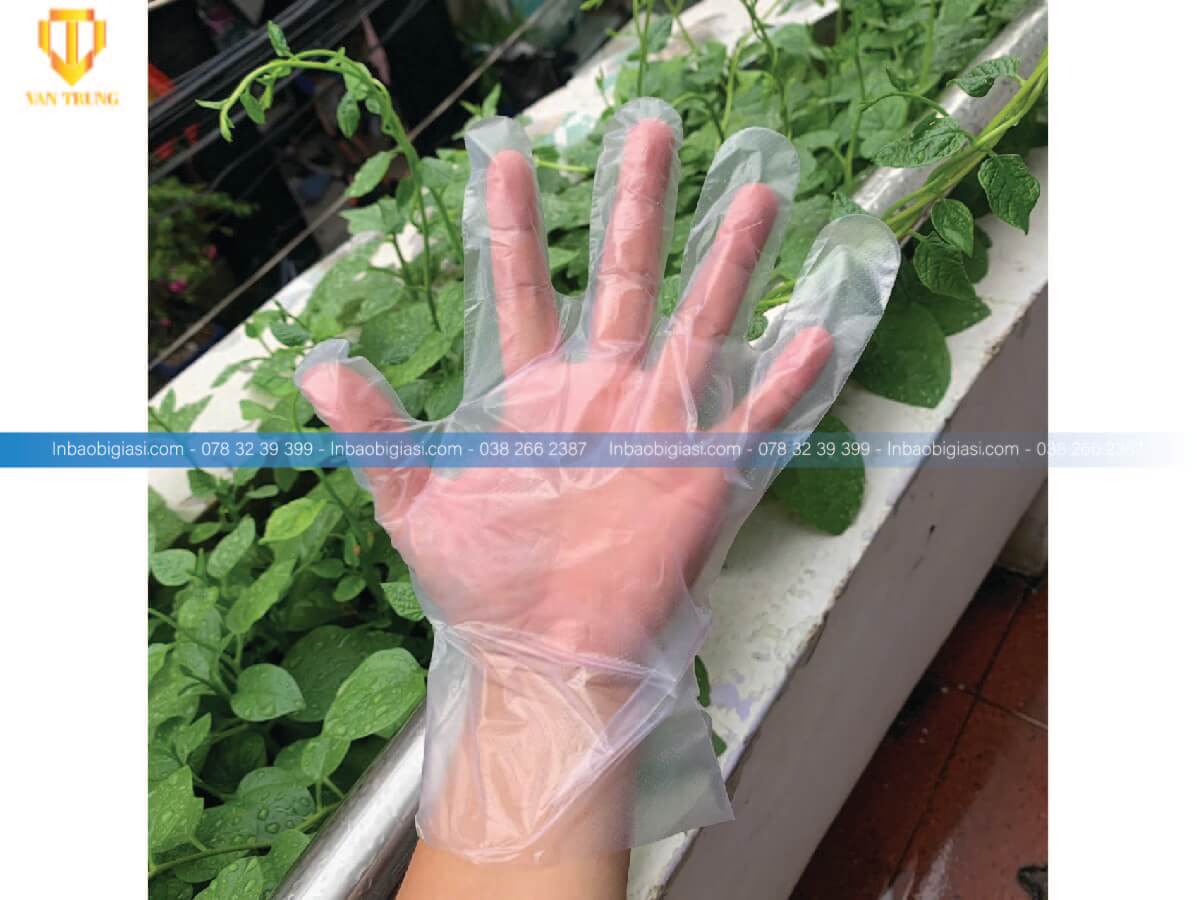 Xưởng sản xuất bao tay nilon giá rẻ