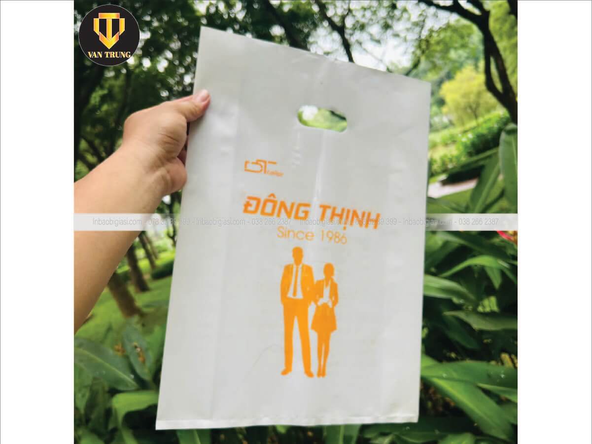 Đặt in túi hột xoài theo yêu cầu