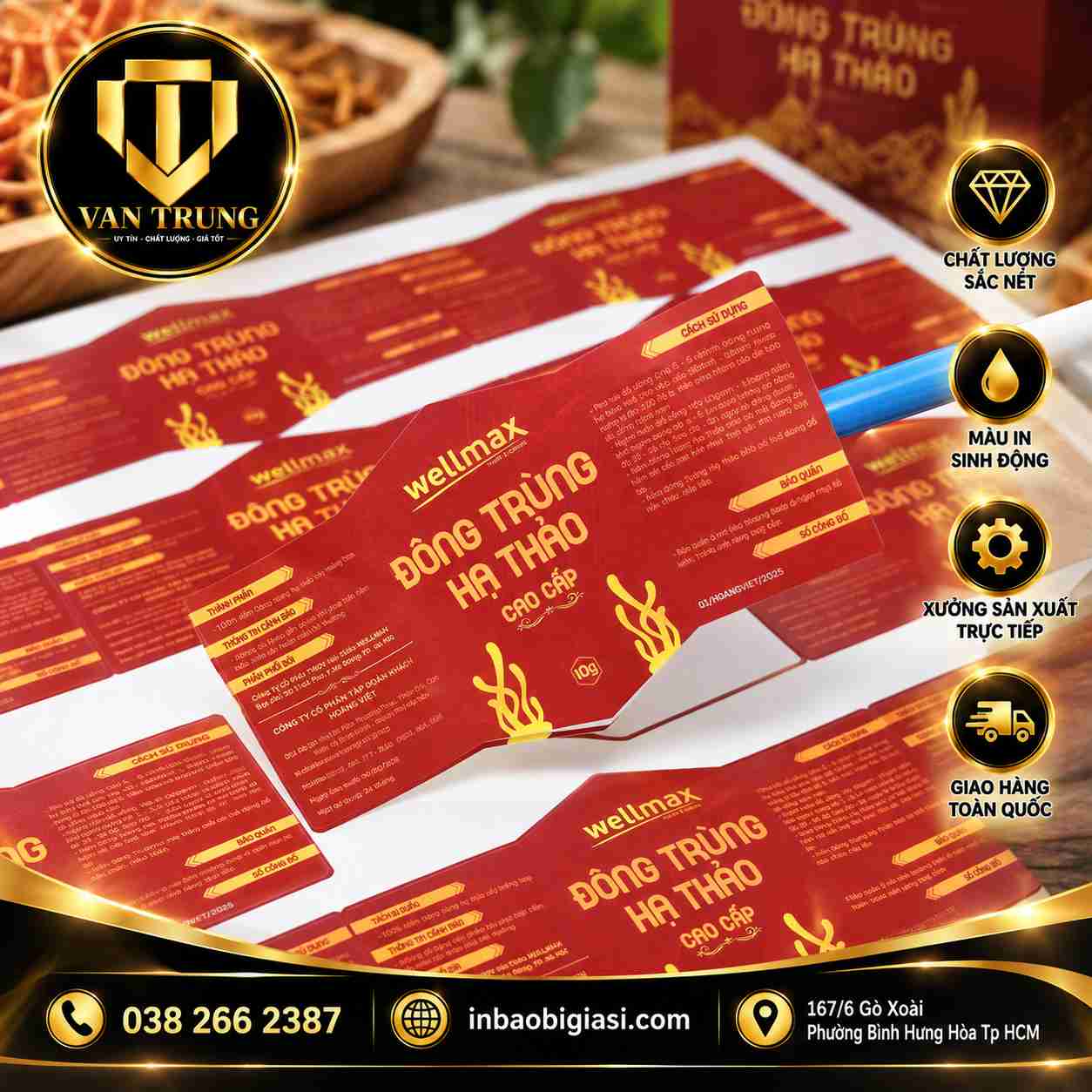 In tem dán đông trùng hạ thảo