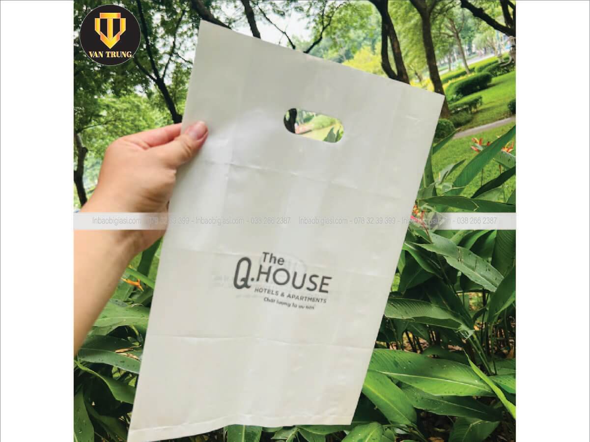 In túi hột xoài cho shop quần áo