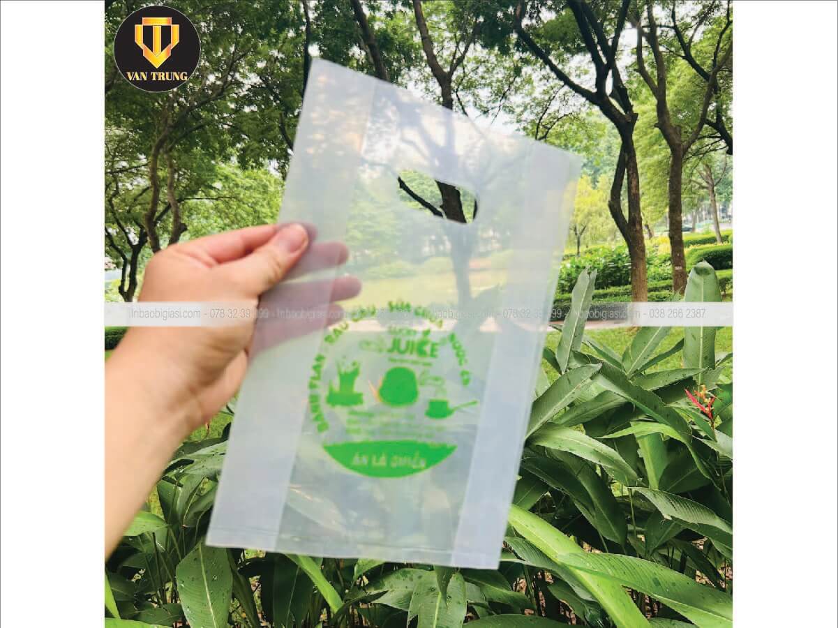 In túi hột xoài giá rẻ