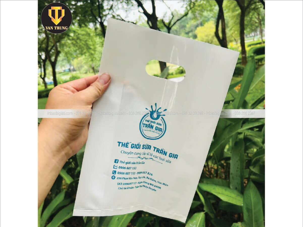 In túi hột xoài pp chất lượng