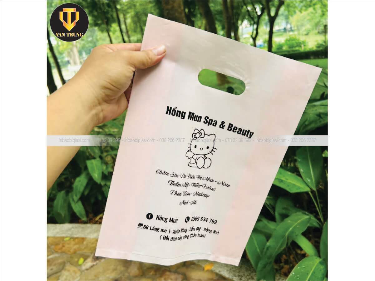 In túi nhựa đẹp chất lượng