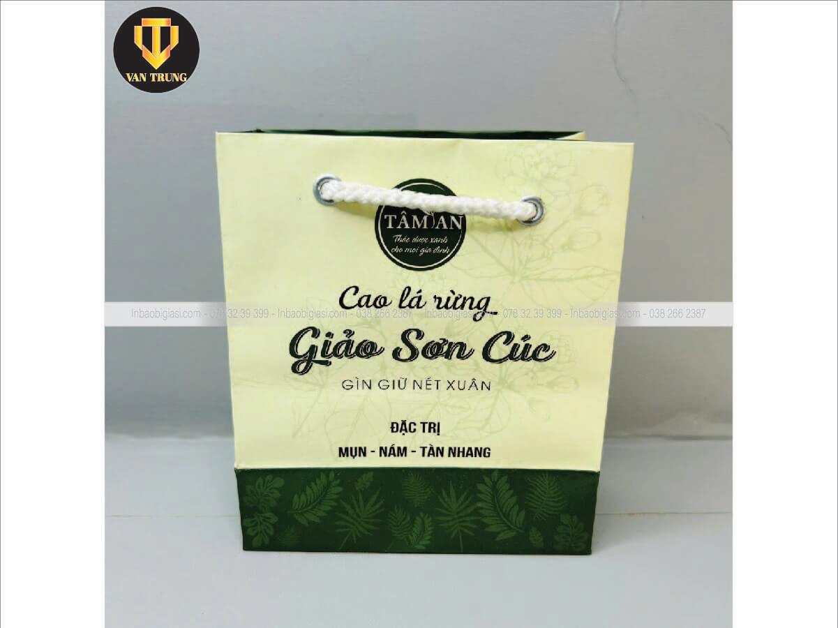 Mẫu túi giấy in ấn đẹp