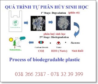 quy trình phân hủy túi nilon hữu cơ