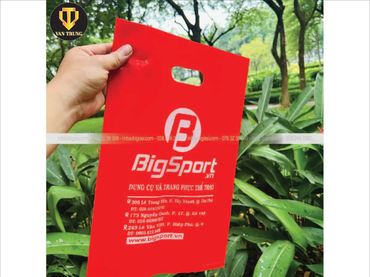 Túi hột xoài đỏ đẹp