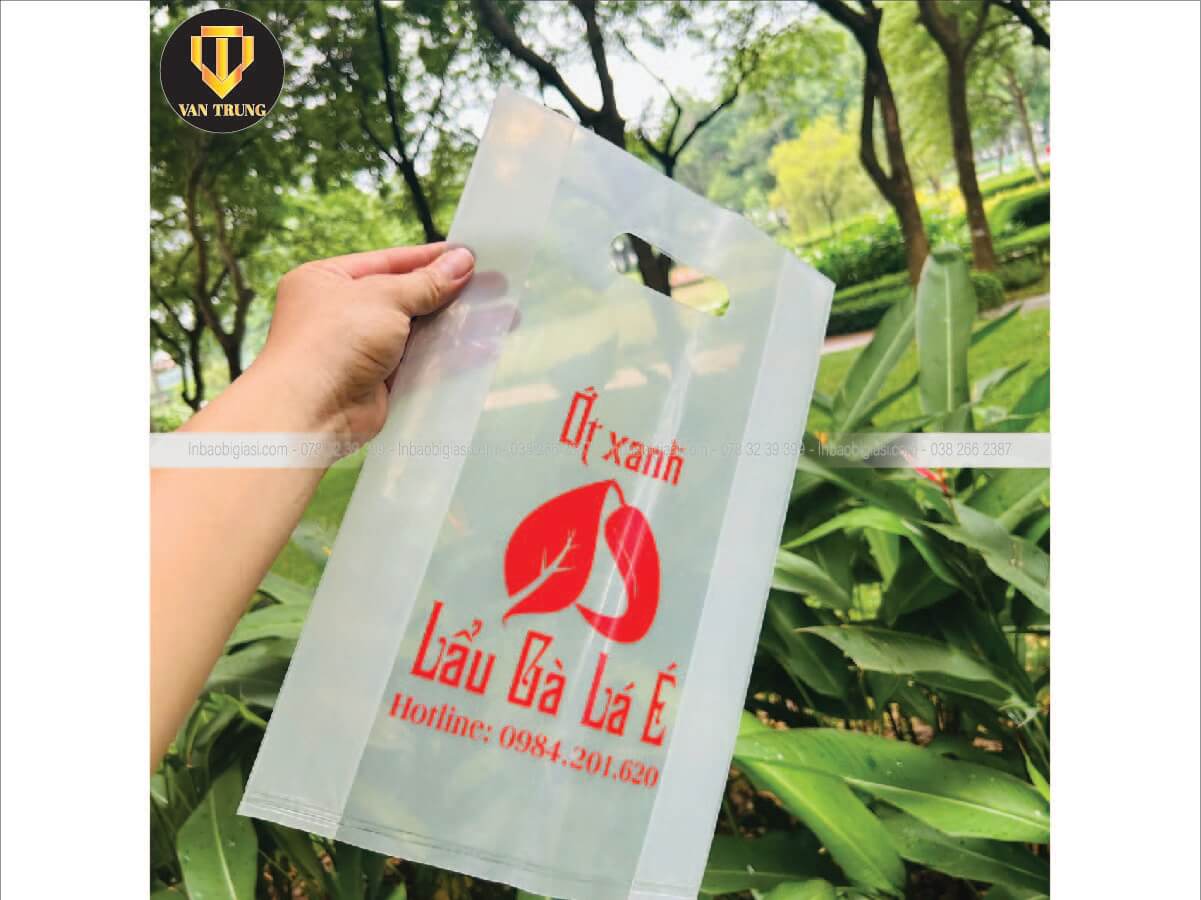Túi hột xoài kích thước đa dạng