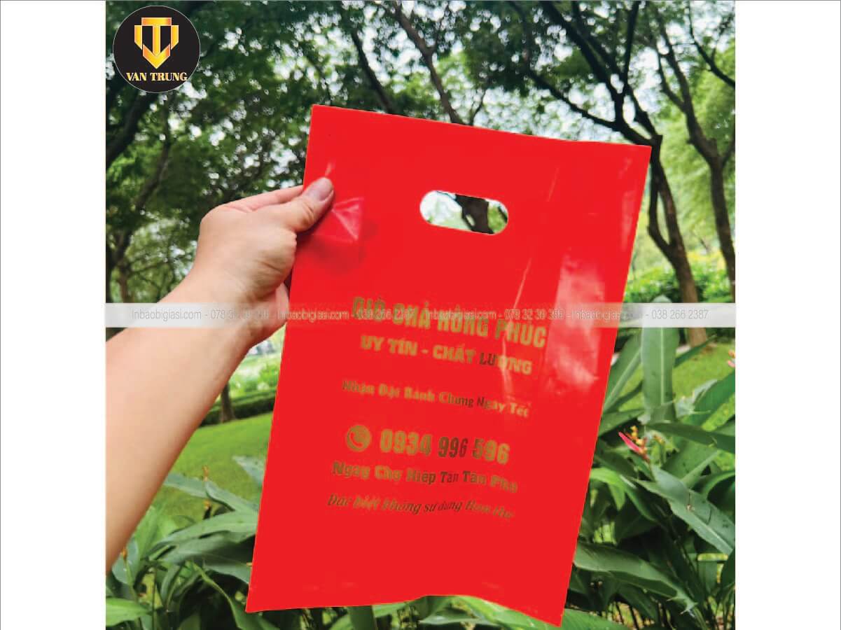 Túi hột xoài pe dai bền