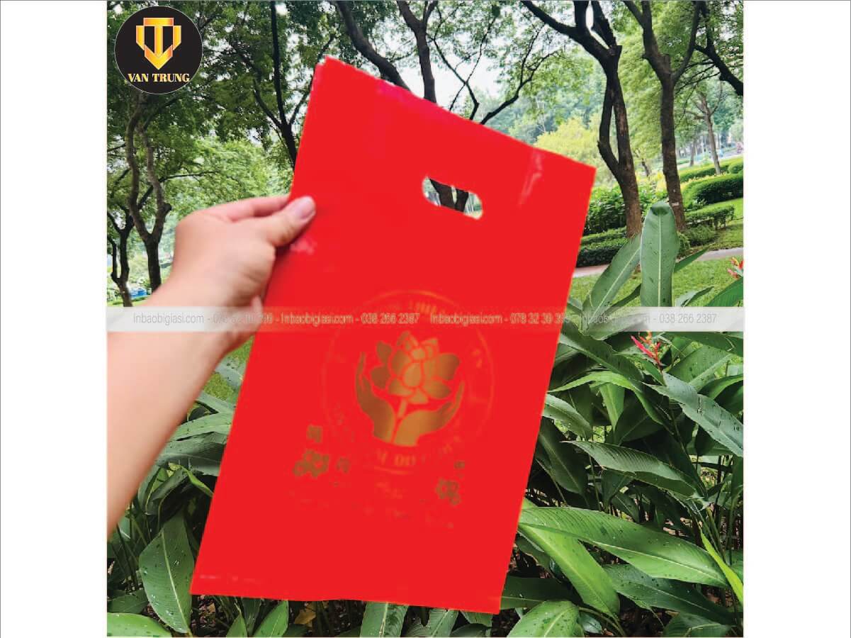 Túi hột xoài shop thời trang