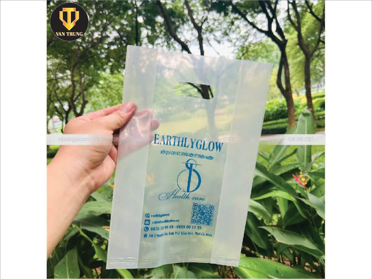In túi hột xoài trong suốt đẹp